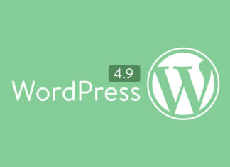 WordPress 4.9. The Customize