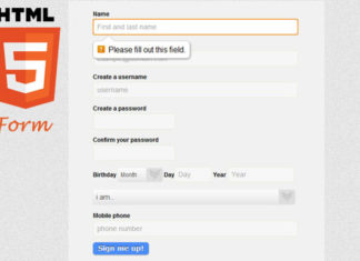 Form with HTML5: the new input elements