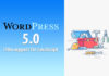 WordPress 5.0: i18n support for JavaScript